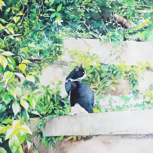 胡秀英一晚七次高潮
